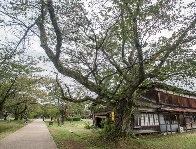 松ケ岡の風景2
