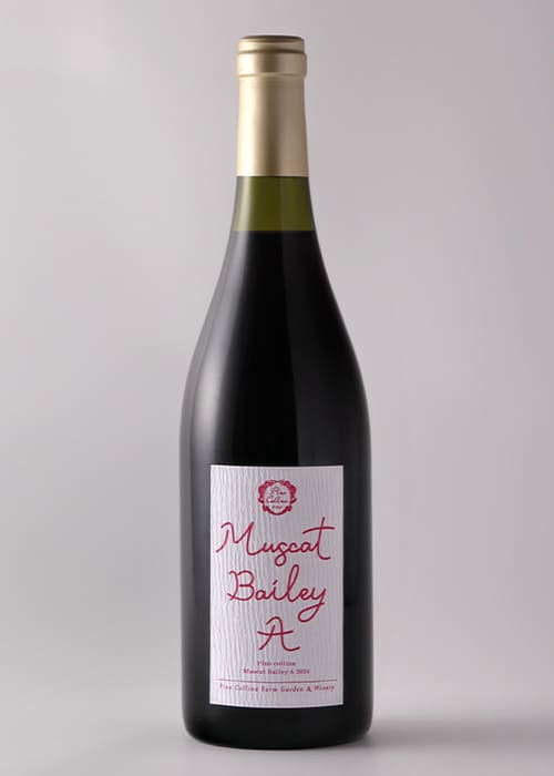 ピノ・コッリーナ マスカットベリーA 2024